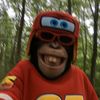 monkey_mcqueen