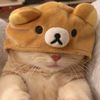 goodnighttworld0