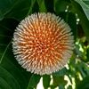 _shakil20