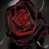 user3299066291043