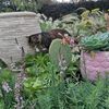erika_ballycurkeen