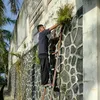 dhita_tri_hanggara