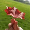 pjsjdxhej