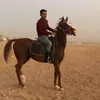 rastgopshtiwan553