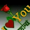 raza24529