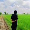 syed_sultan_ali_shah47