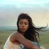 lenordove