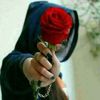 zainabsalam6820