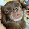 tinka_ustinka