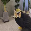 eyraaaaai