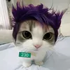 sayless_jc8