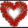 ritka_45555