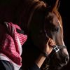 abdullah.b13