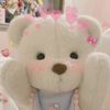 cingilittlebear