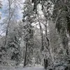 manuelawallner0303