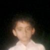 tariqnoor73