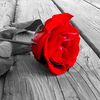 user2869610777471