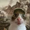 neil_mp_