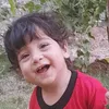 hassan.abas240