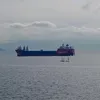 infopvt66
