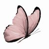 alhaneen885
