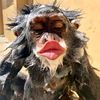 kriwill_10