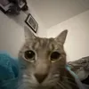 chrisdh26