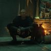 bald_hyena
