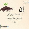 sally.samir477