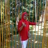 trashoop15