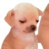 user98psl