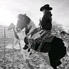 boss_mare69