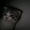 ._cloudyaaa