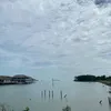 nnisshy