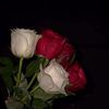 farah_1404