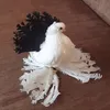 ozery4