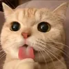 _banban1002_