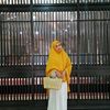 po_indun13