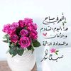 meshal3033