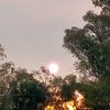 here_comes_the_sun177013