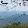 yuvyd_