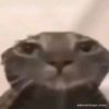 mr_non718