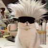 k2nwiskers