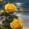 suzan__ali