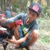 bidoen7
