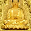 trieuhuuloi6789