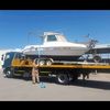 995544sas
