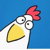 gallinachinconcuak