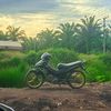 afandy154