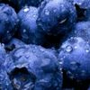 blue_berry_ya